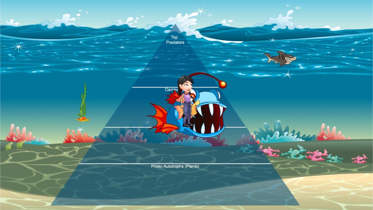 Ocean Ecological Pyramid