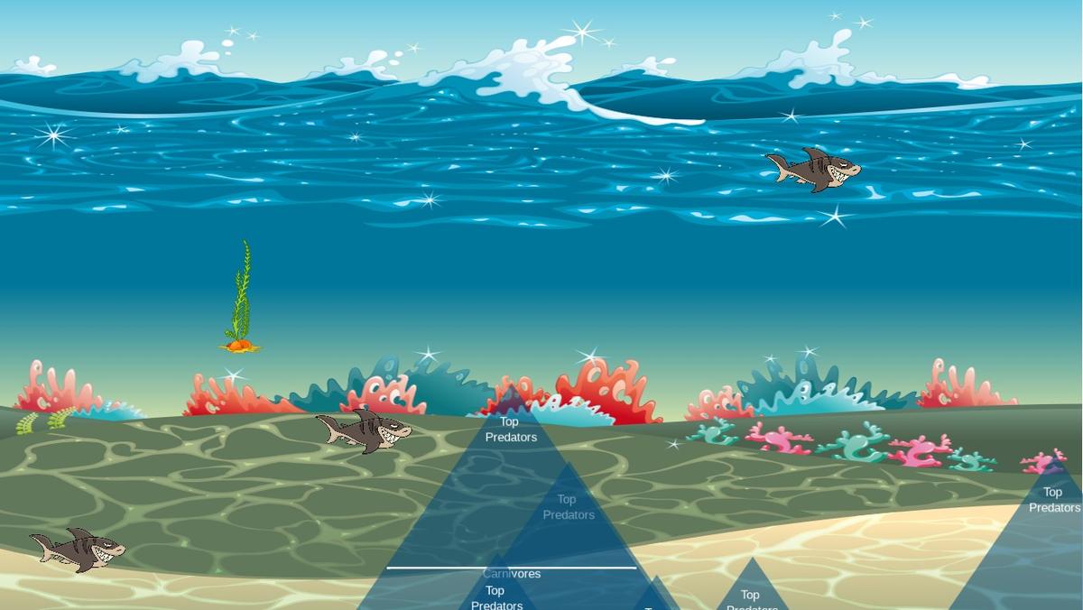 Ocean Ecological Pyramid