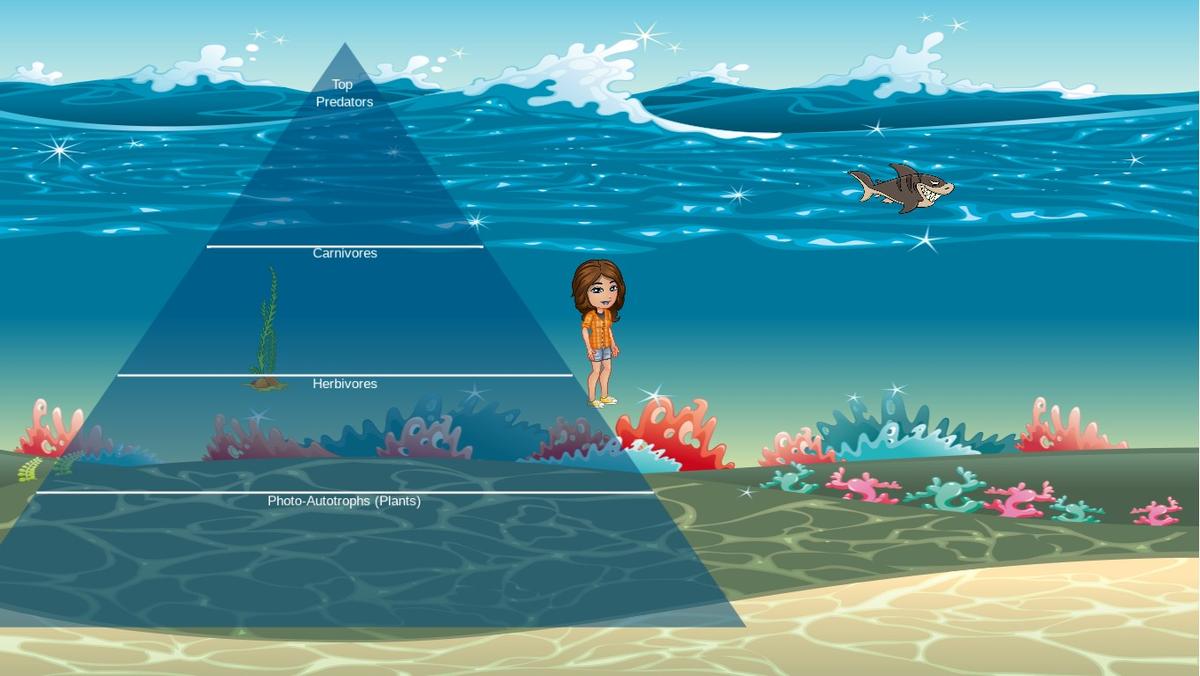 Ocean Ecological Pyramid