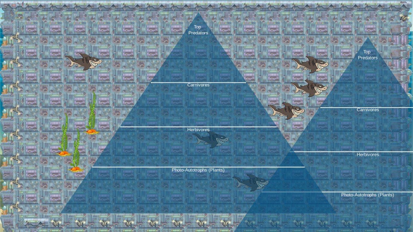 Ocean Ecological Pyramid