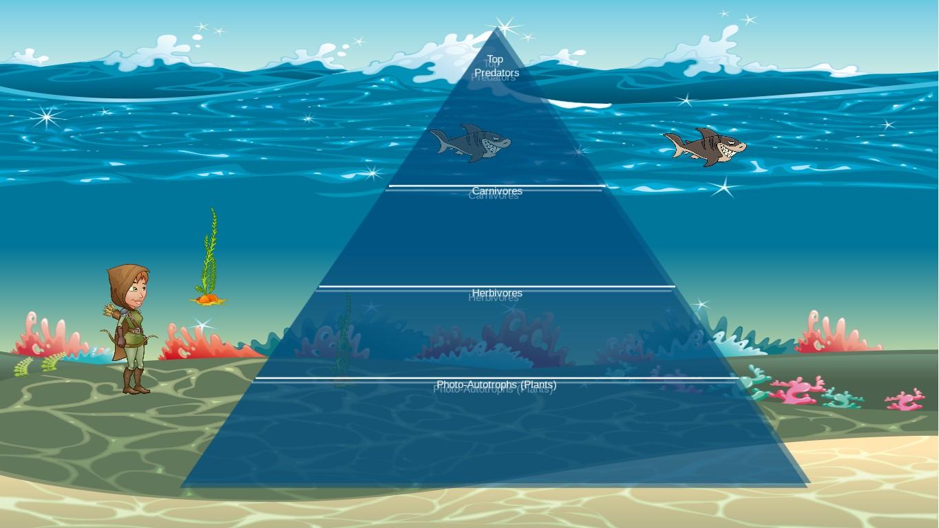 Ocean Ecological Pyramid