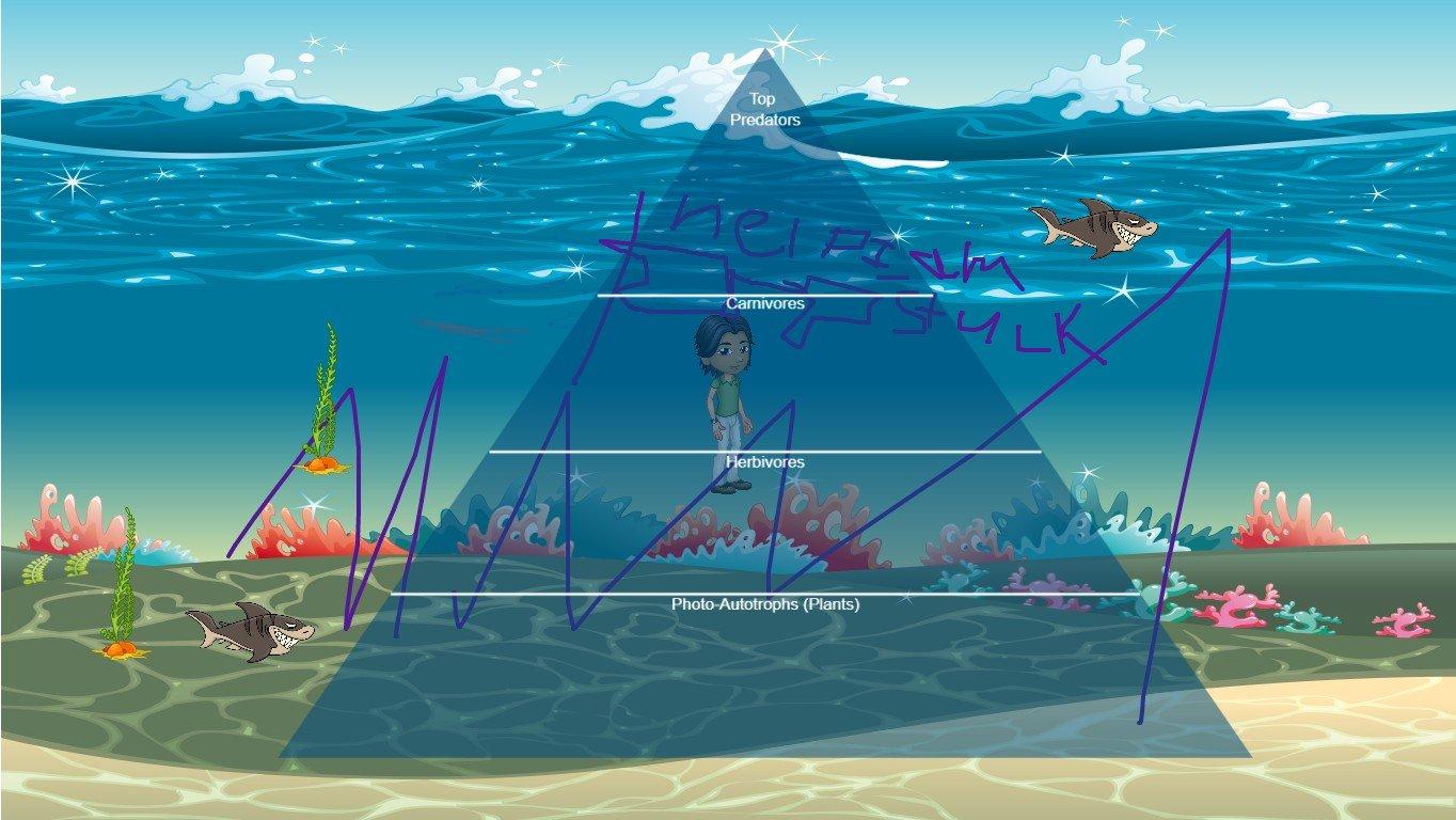 Ocean Ecological Pyramid