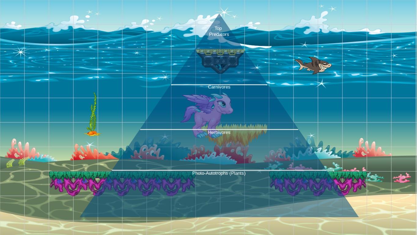 Ocean Ecological Pyramid