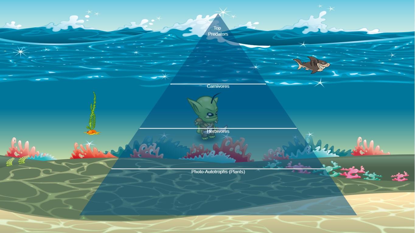 Ocean Ecological Pyramid