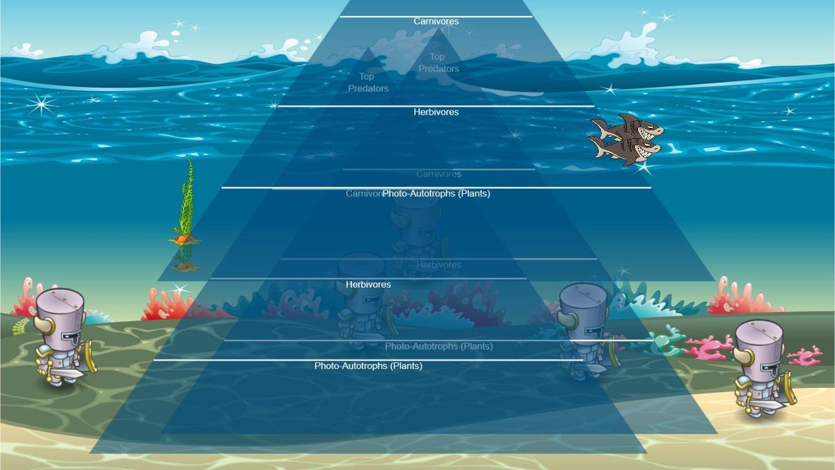 Ocean Ecological Pyramid