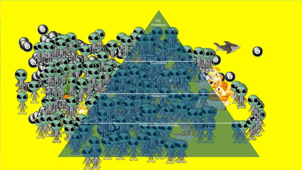 Ocean Ecological Pyramid