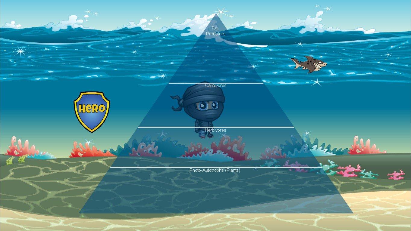 Ocean Ecological Pyramid