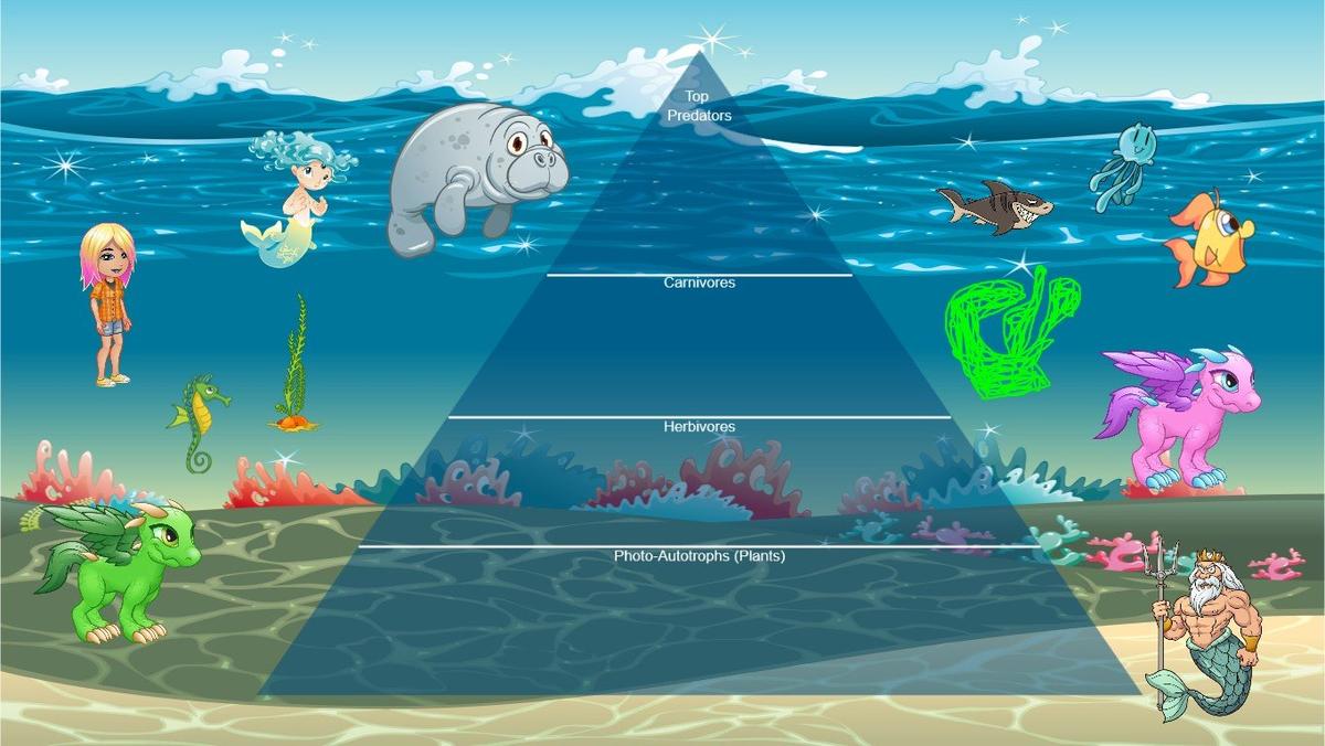 Ocean Ecological Pyramid