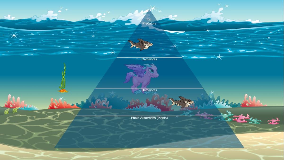 Ocean Ecological Pyramid