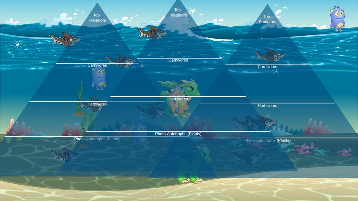 Ocean Ecological Pyramid