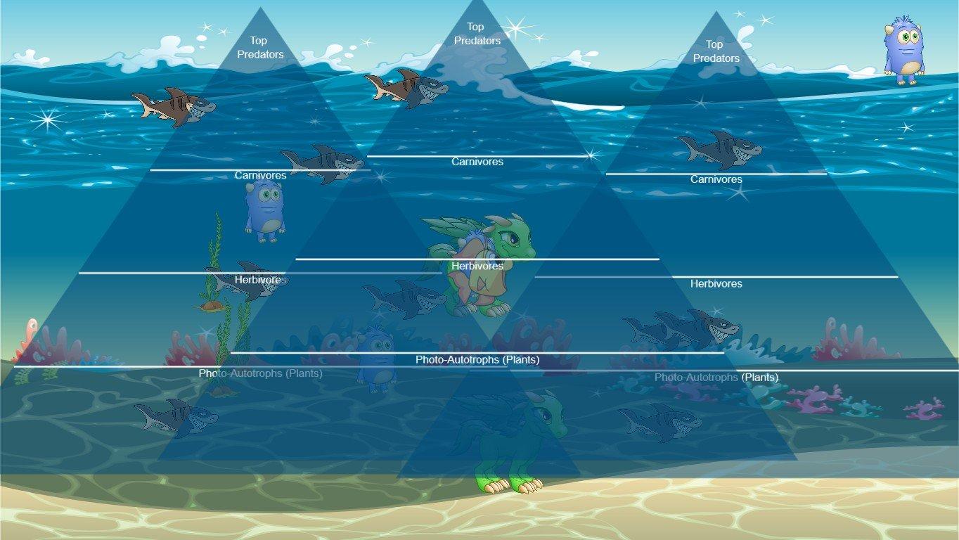 Ocean Ecological Pyramid