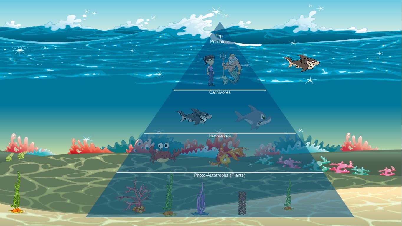 Ocean Ecological Pyramid