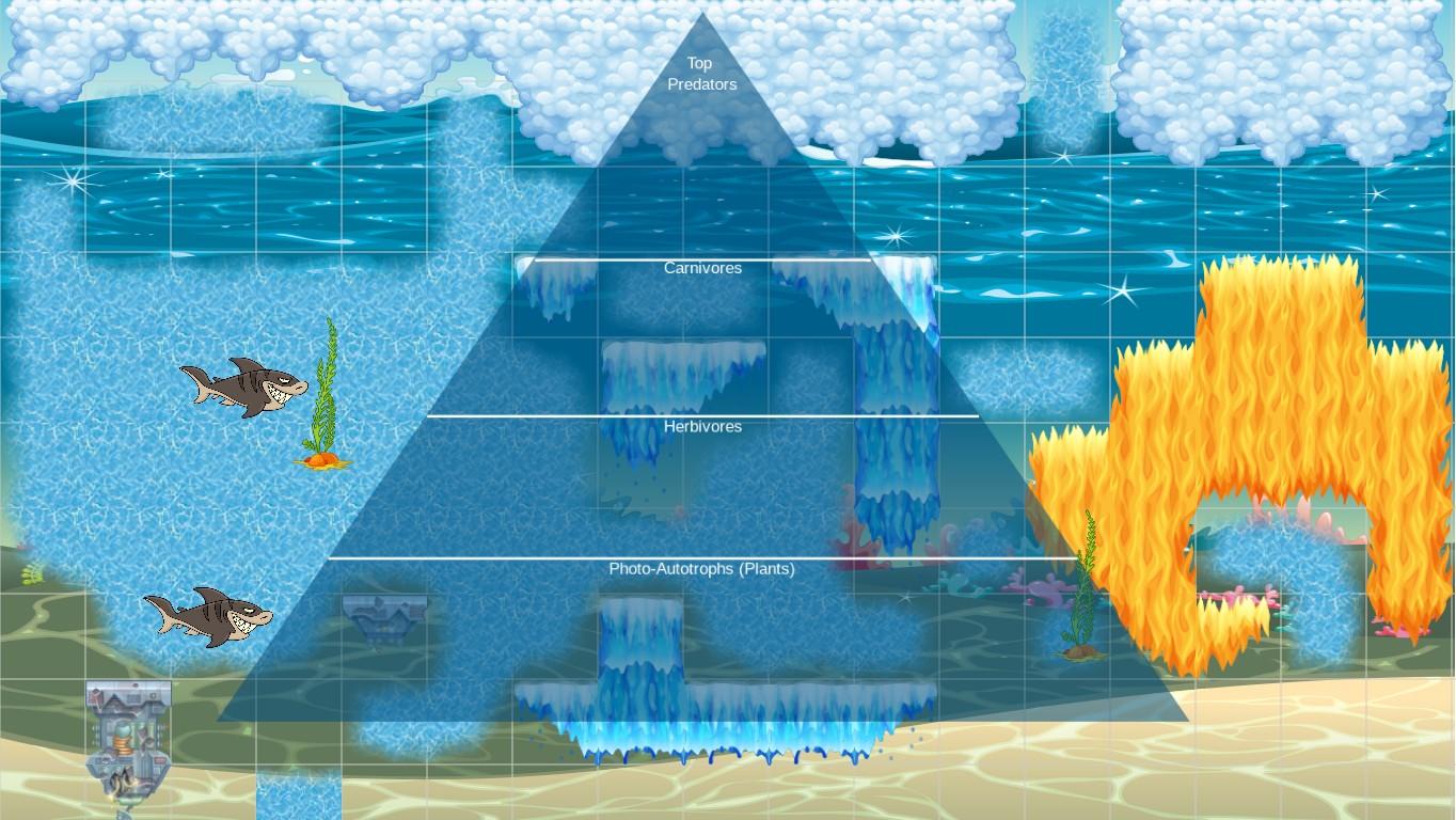 Ocean Ecological Pyramid