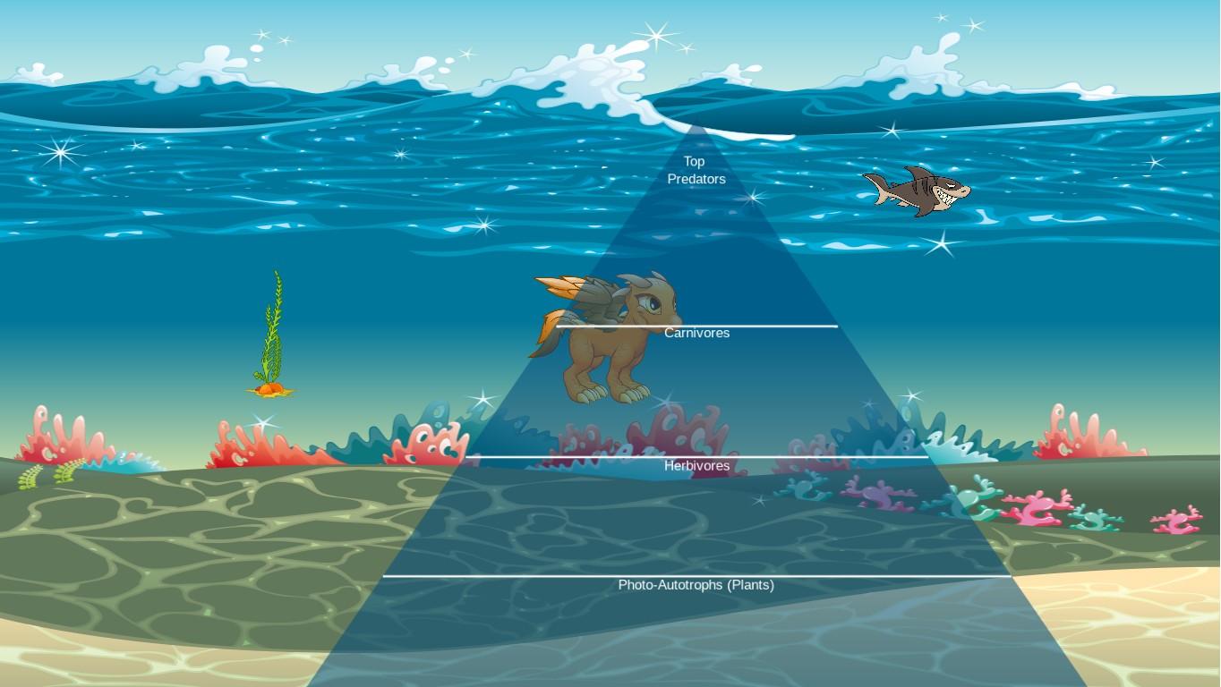 Ocean Ecological Pyramid