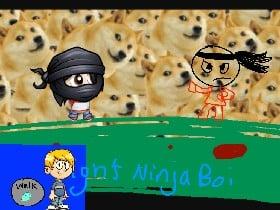 Doge World: Fighting Ninja Boi