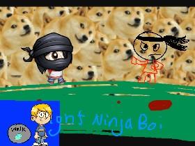 Doge World: Fighting Ninja Boi