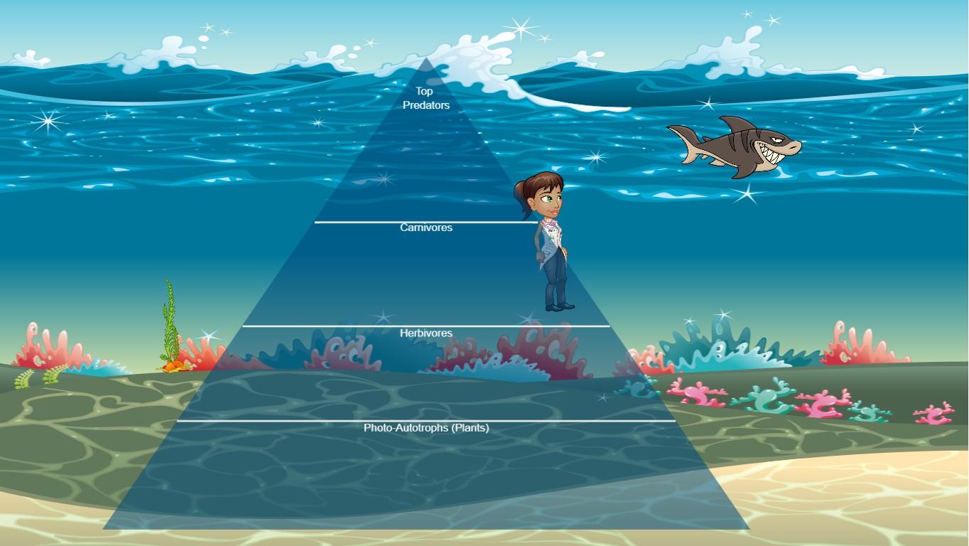 Ocean Ecological Pyramid