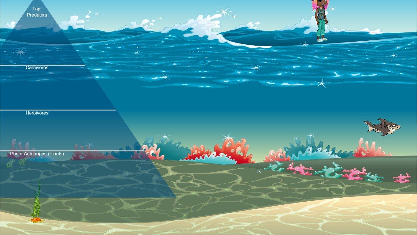 Ocean Ecological Pyramid