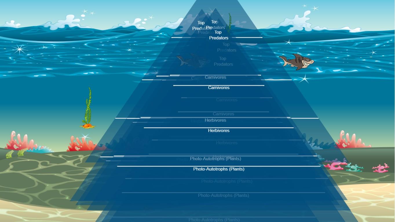 Ocean Ecological Pyramid