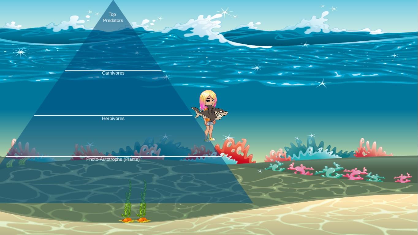 Ocean Ecological Pyramid