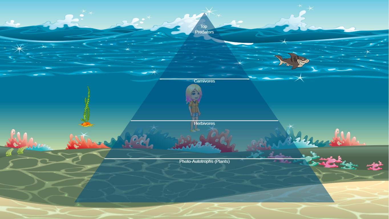 Ocean Ecological Pyramid