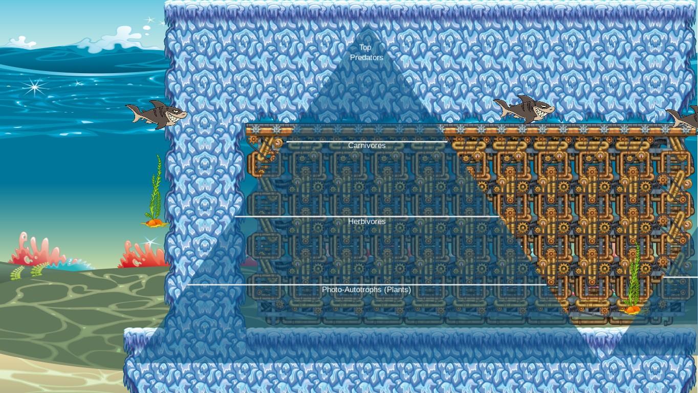 Ocean Ecological Pyramid