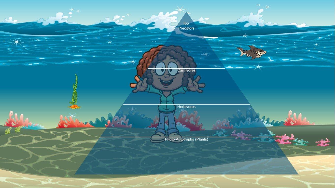 Ocean Ecological Pyramid