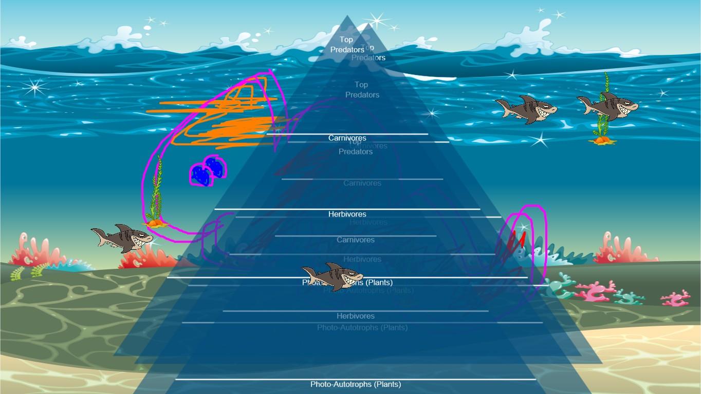 Ocean Ecological Pyramid