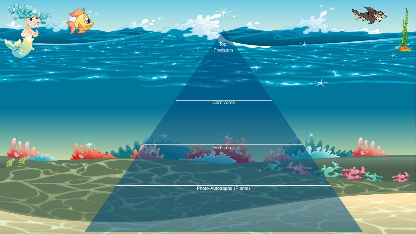 Ocean Ecological Pyramid