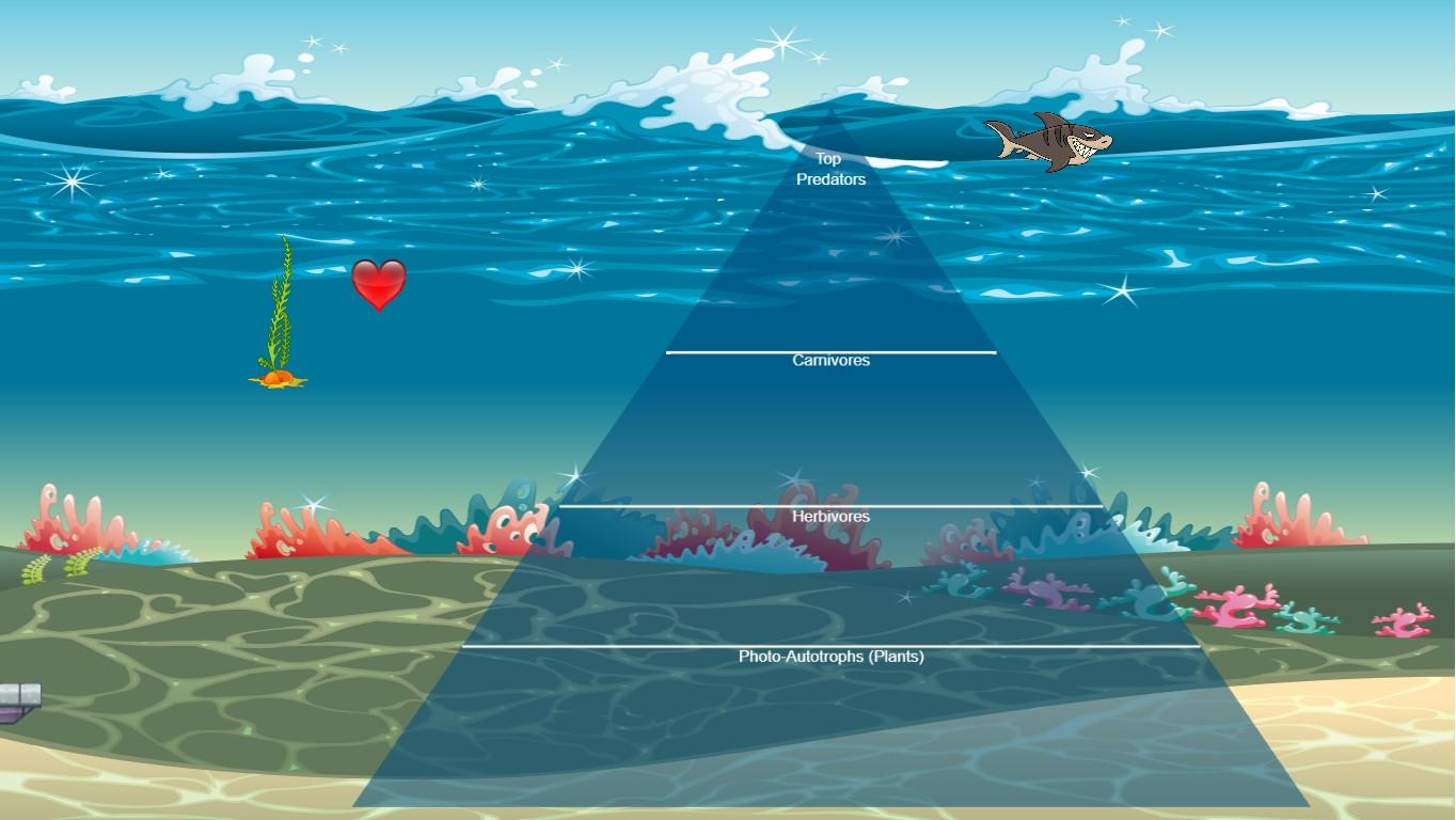 Ocean Ecological Pyramid