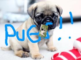 pug clicker bounce