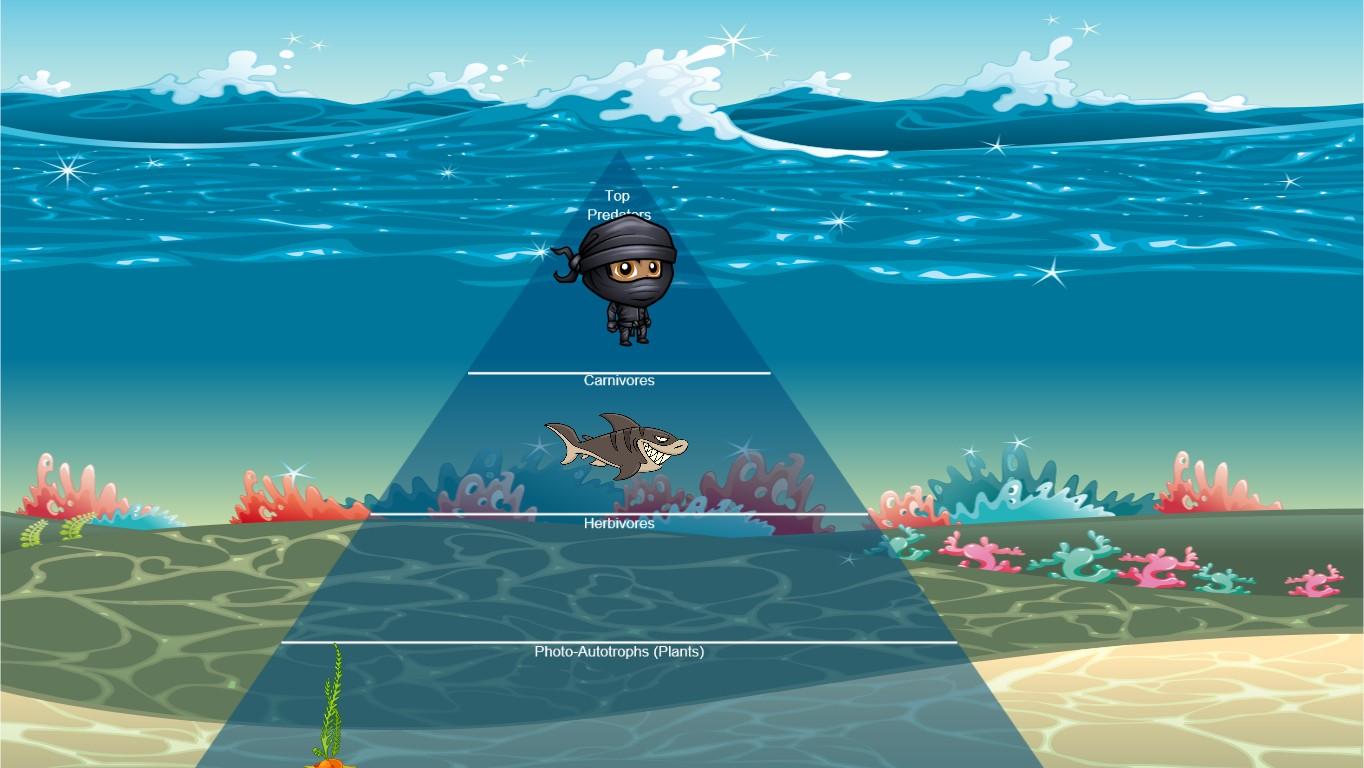 Ocean Ecological Pyramid