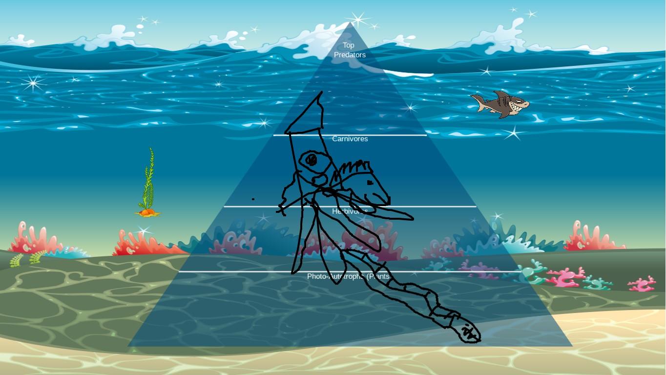 Ocean Ecological Pyramid