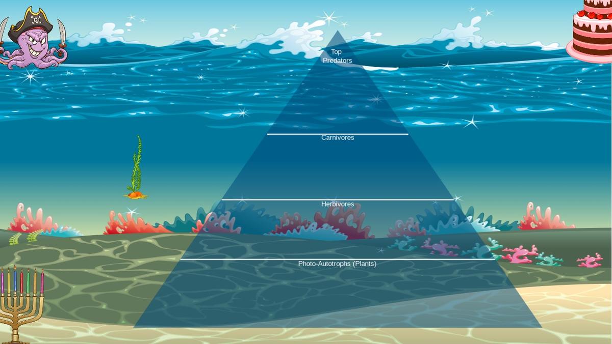 Ocean Ecological Pyramid