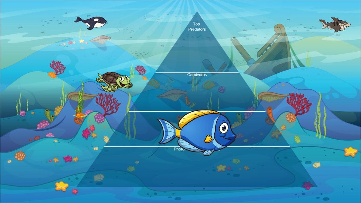 Ocean Ecological Pyramid