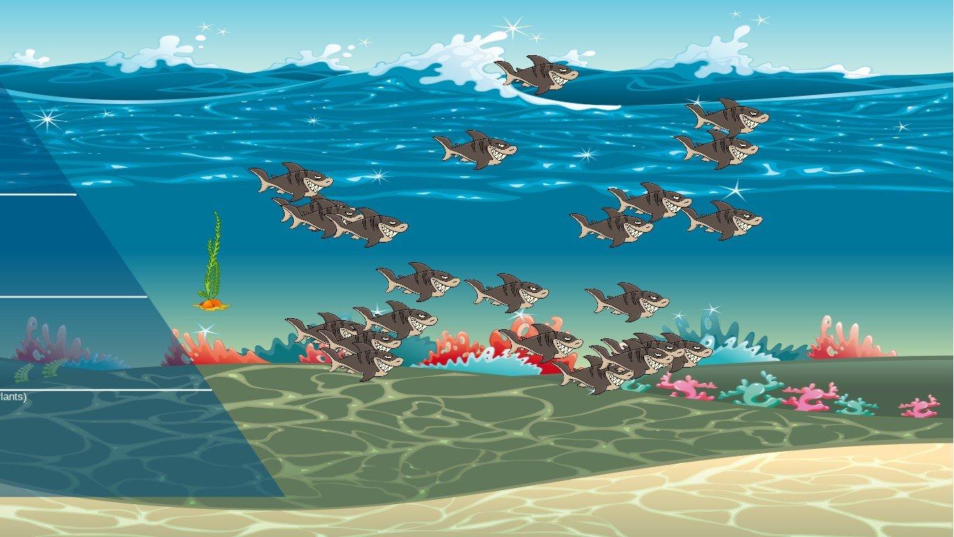 Ocean Ecological Pyramid