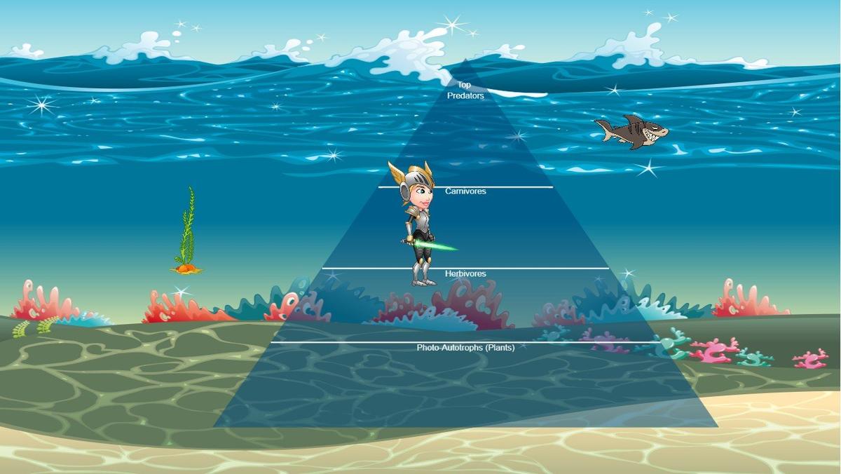 Ocean Ecological Pyramid