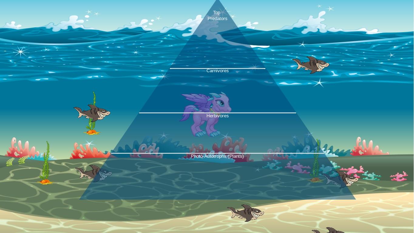 Ocean Ecological Pyramid