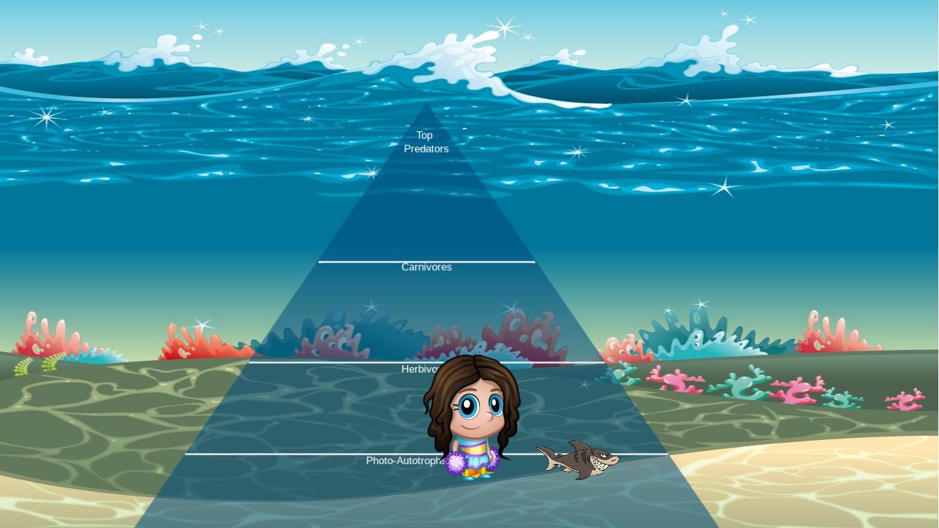 Ocean Ecological Pyramid adreana