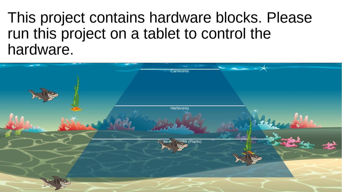 Ocean Ecological Pyramid