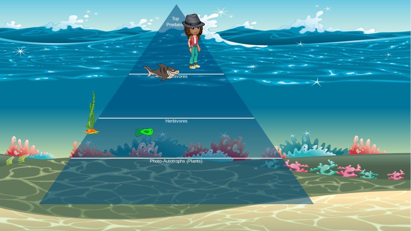 Ocean Ecological Pyramid