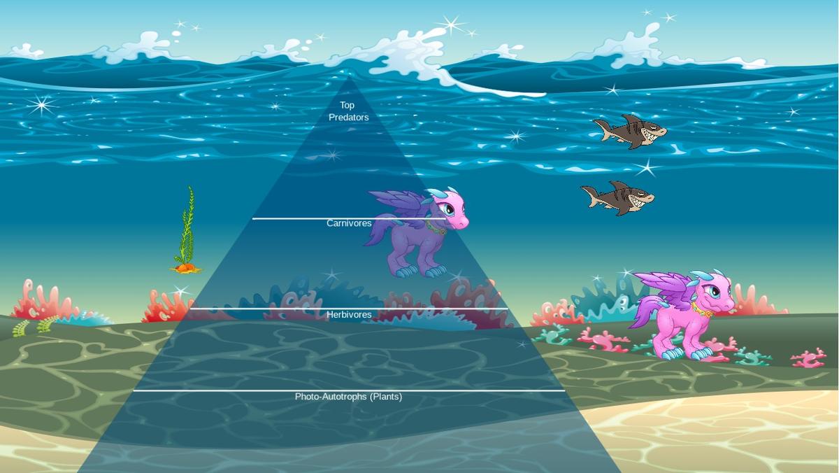 Ocean Ecological Pyramid