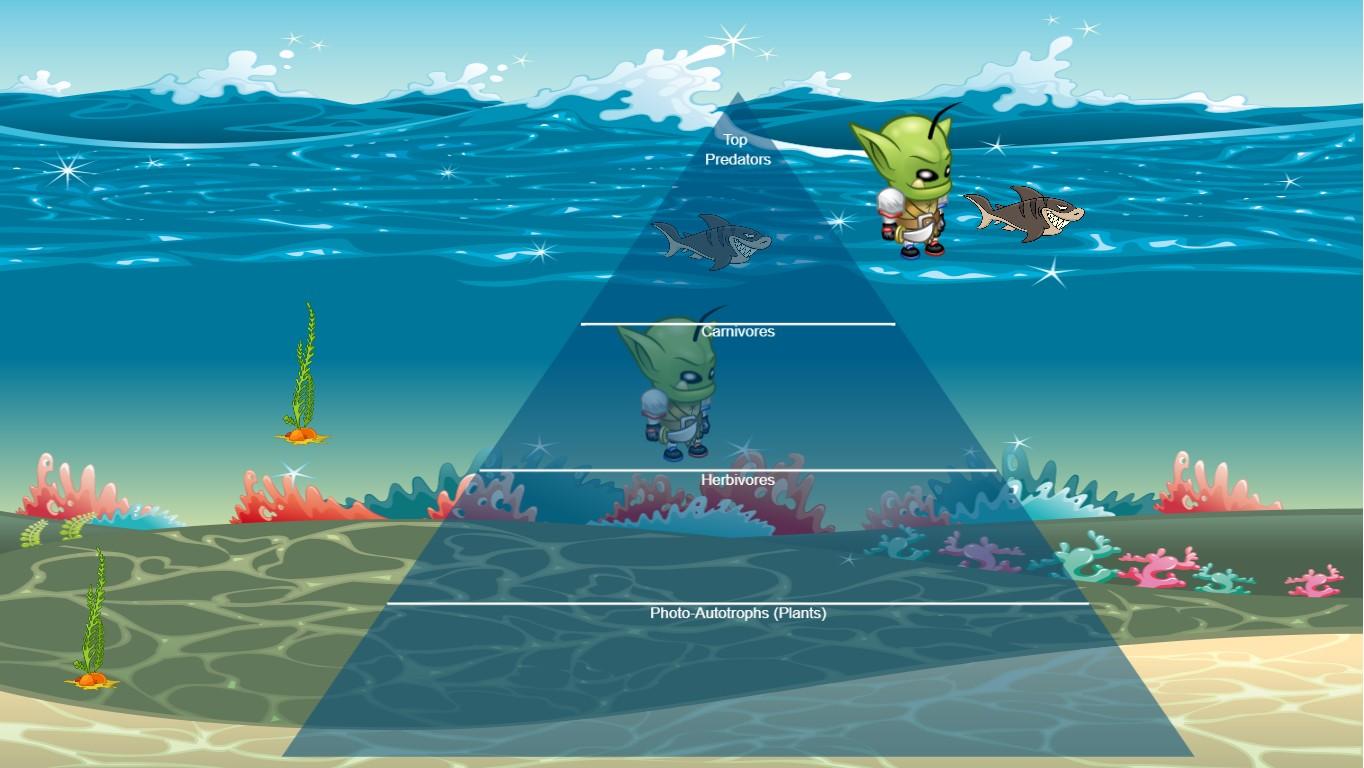 Ocean Ecological Pyramid