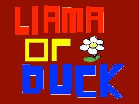 Llama or Duck? 1