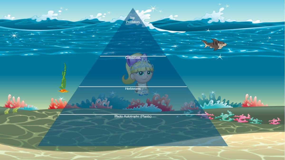 Ocean Ecological Pyramid