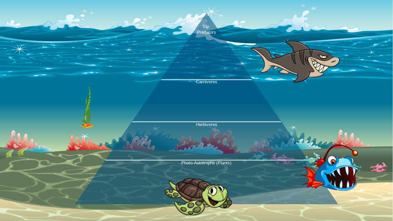 Ocean Ecological Pyramid