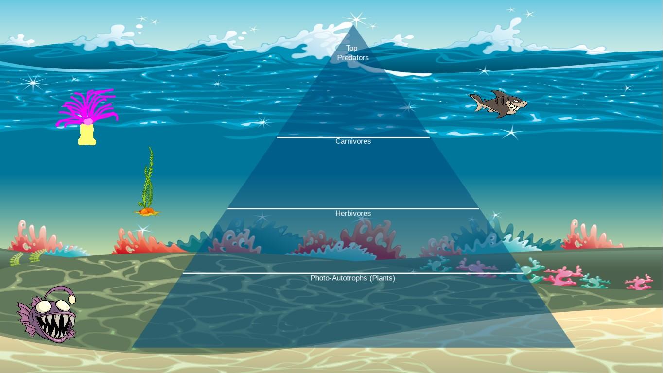 Ocean Ecological Pyramid