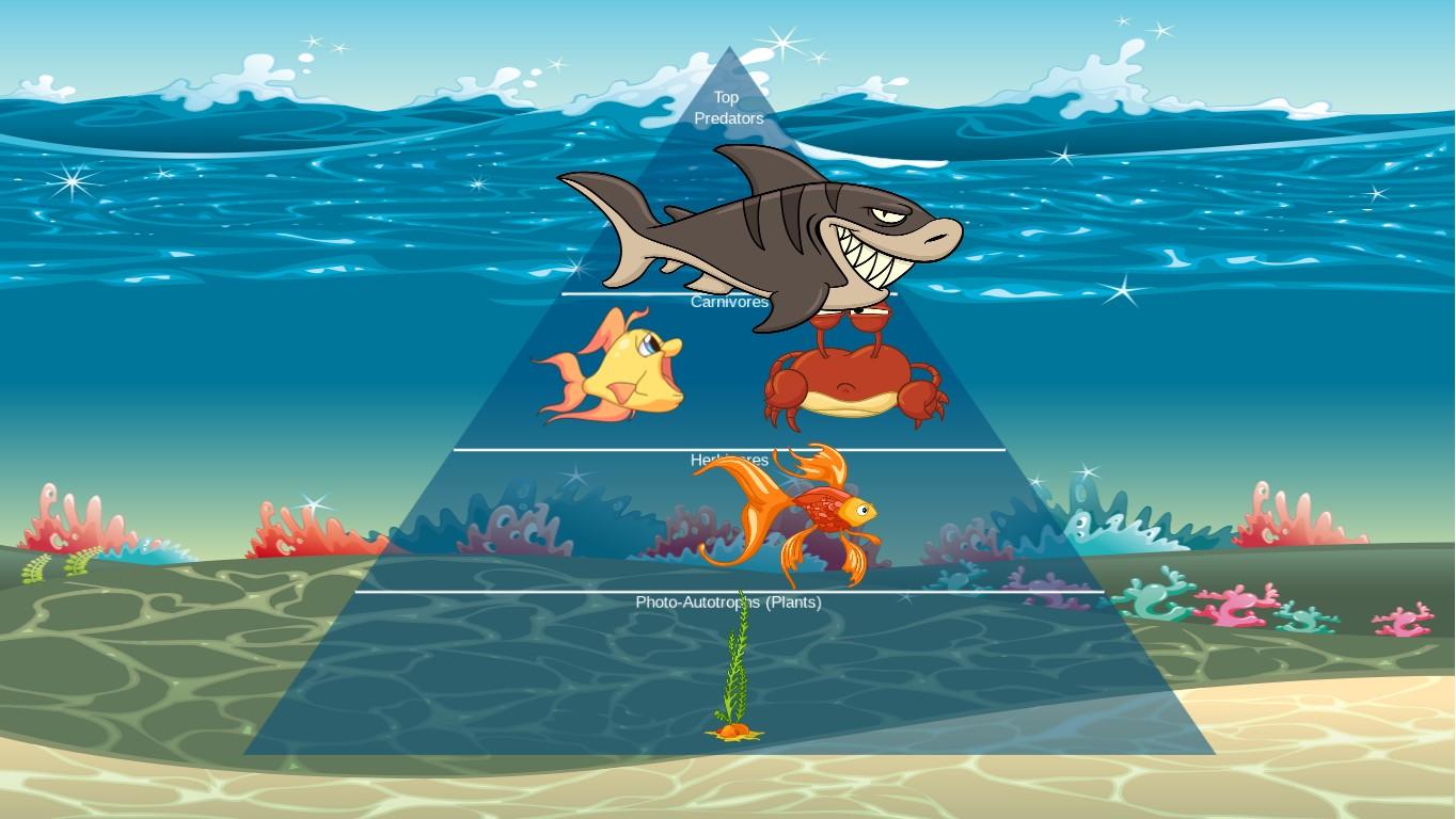 Ocean Ecological Pyramid