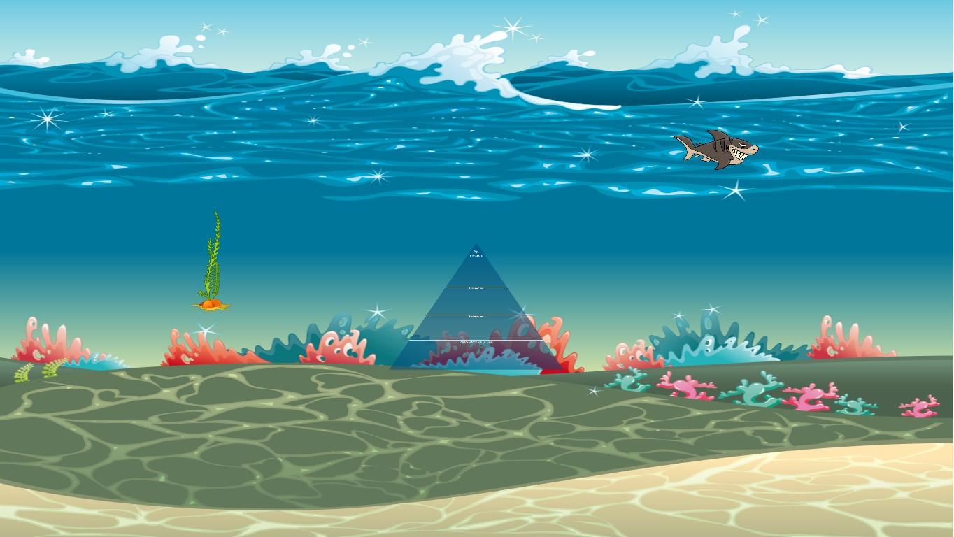 Ocean Ecological Pyramid