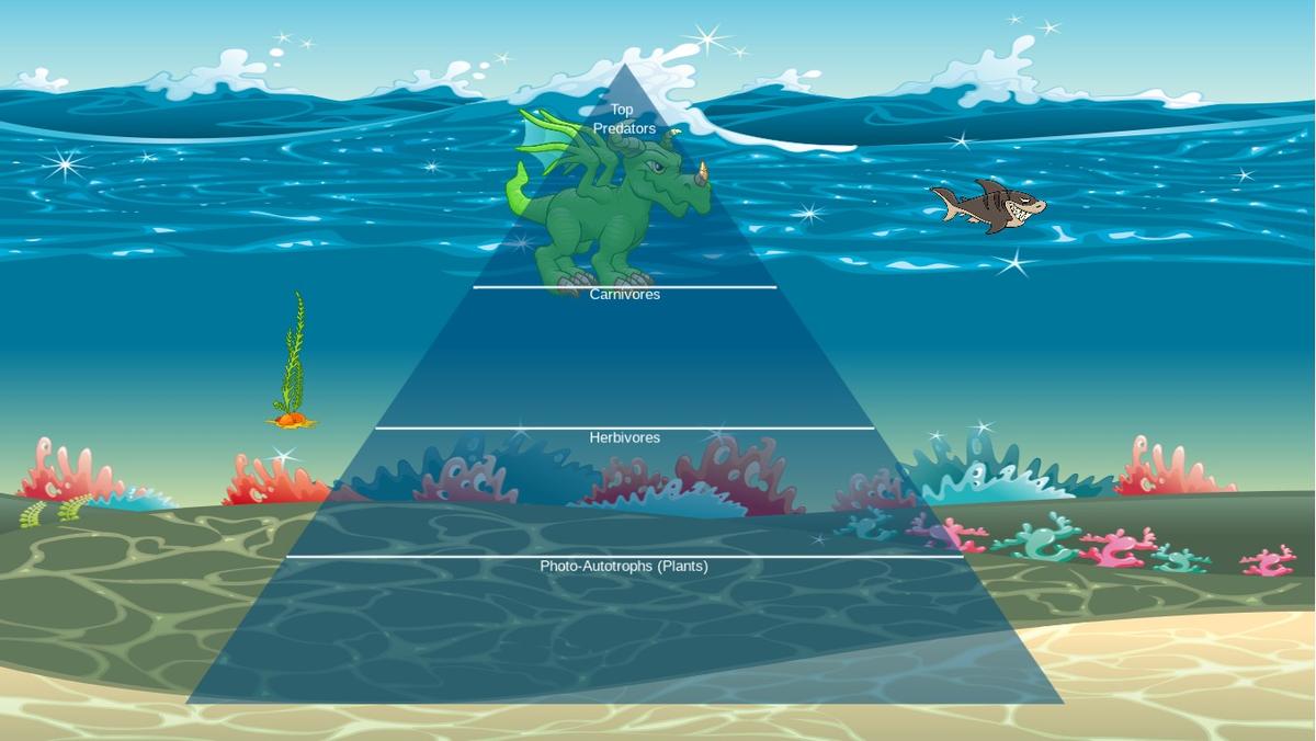 Ocean Ecological Pyramid